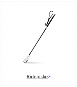 Ridepiske