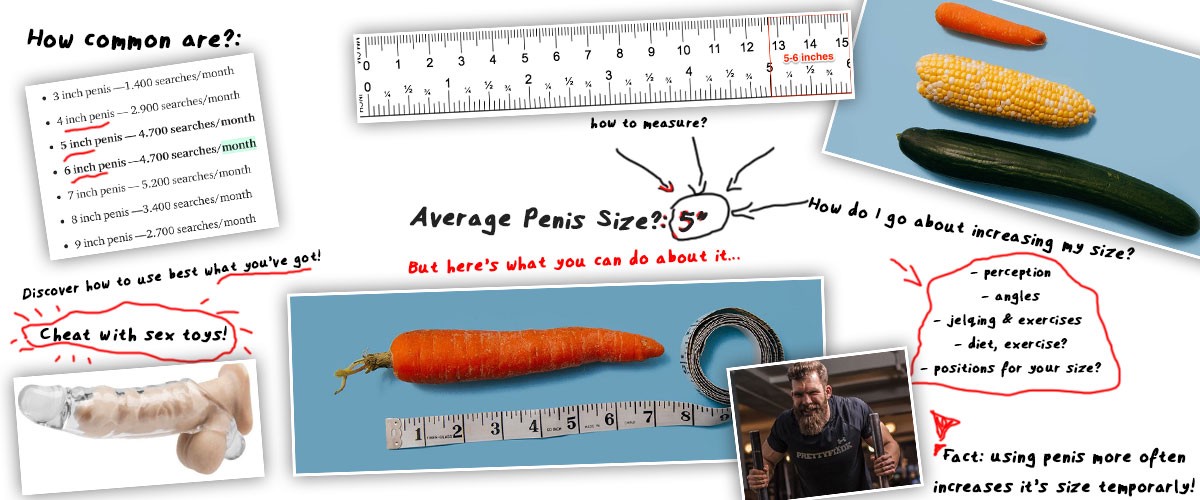 what is average penis size cover