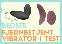 Fjernbetjent Vibrator – Her er de 4 Bedste