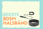 BDSM halsbånd – De 7 bedste i test