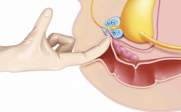 Prostata orgasmer med massage: Komplet guide